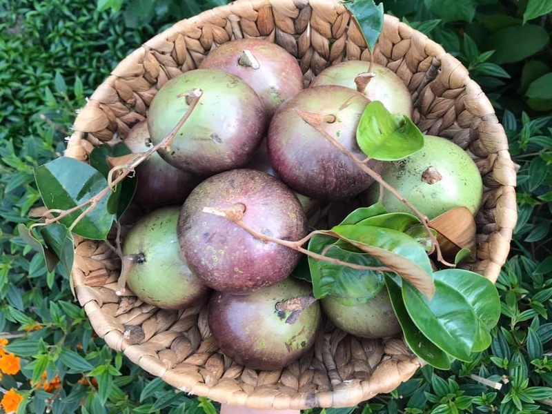 Phụ nữ sau sinh ăn gì để nhiều sữa? 4