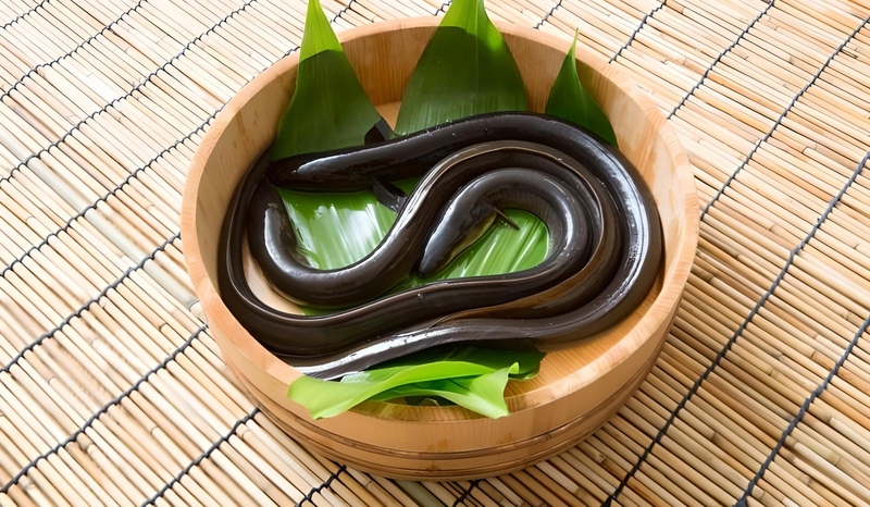 Phụ nữ sau sinh ăn lươn được không? Gợi ý một số thực phẩm tốt cho mẹ sau sinh