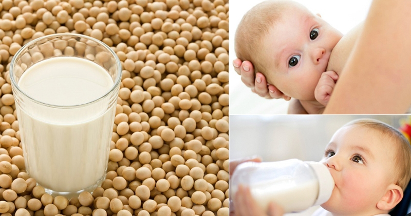 Phụ nữ sinh mổ có được uống sữa đậu nành không?