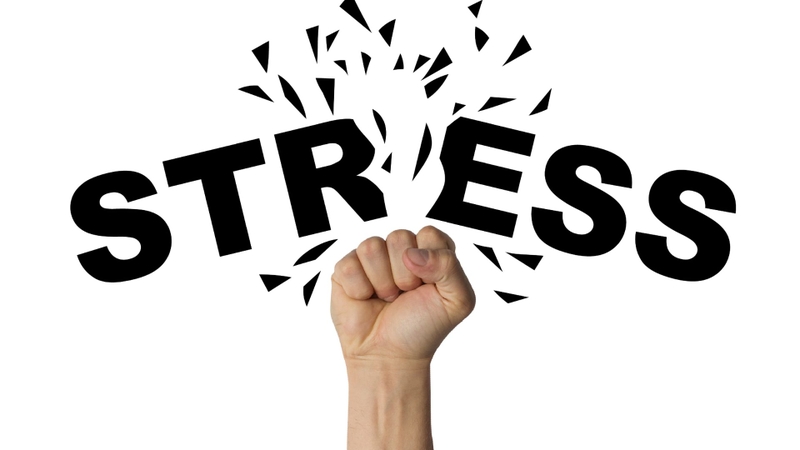 Phục hồi chức năng liệt hai chi dưới: Quy trình, phương pháp và hiệu quả điều trị 4