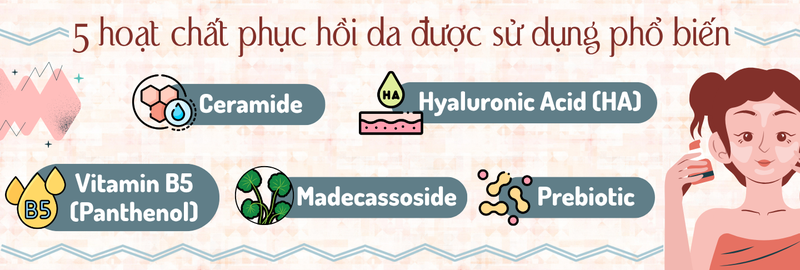 5 hoạt chất phục hồi da được sử dụng phổ biến