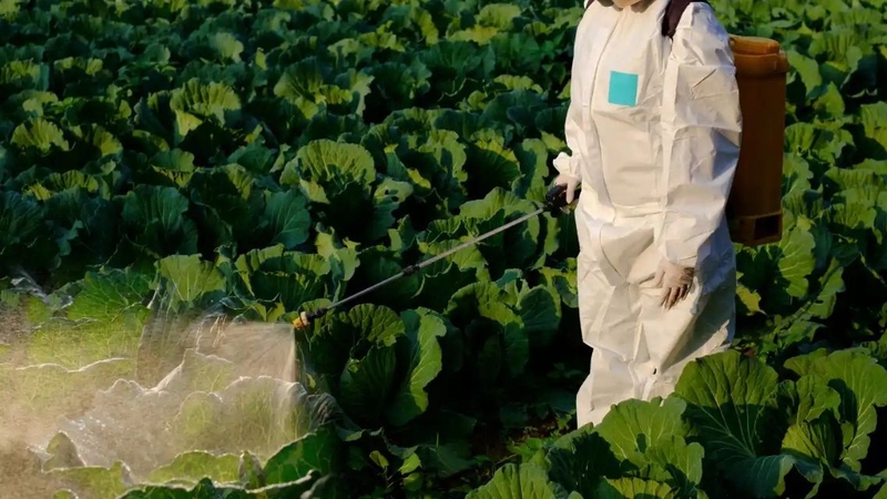 Tìm hiểu&nbsp;phun thuốc trừ sâu mấy ngày thì ăn được&nbsp;là việc cần thiết