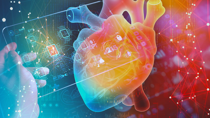 Phương pháp AI mới nâng cao khả năng đánh giá rủi ro tim mạch 3