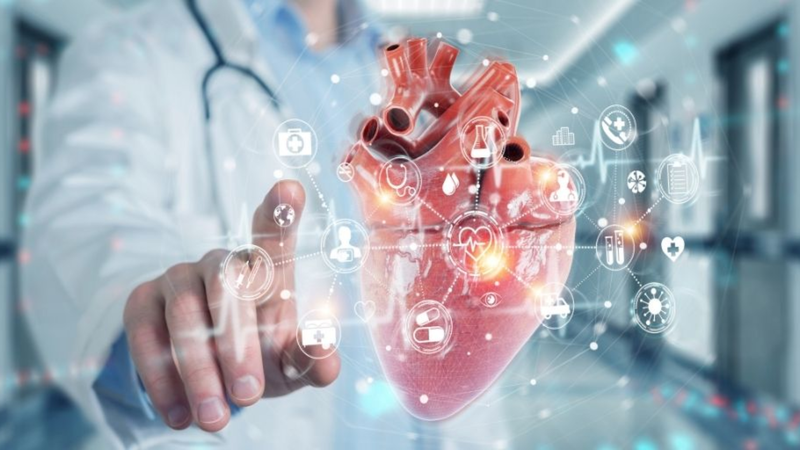 Phương pháp AI mới nâng cao khả năng đánh giá rủi ro tim mạch 4