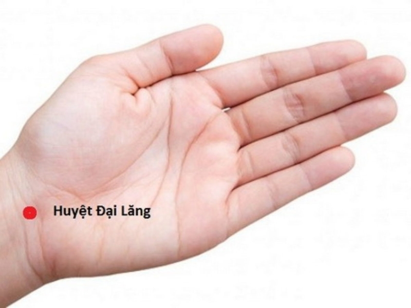 Phương pháp bấm huyệt điều trị huyết áp thấp hiệu quả 2