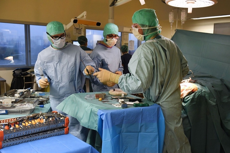 Phương pháp cấy ghép nội tạng là gì? Các biến chứng có thể gặp khi cấy ghép nội tạng 2