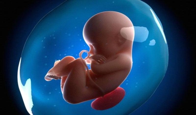 Phương pháp chọc ối xét nghiệm ADN có nguy hiểm không? 4