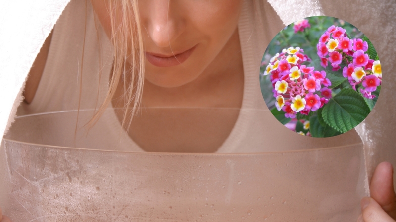 Phương pháp chữa bệnh viêm mũi dị ứng bằng Đông y hiệu quả 2