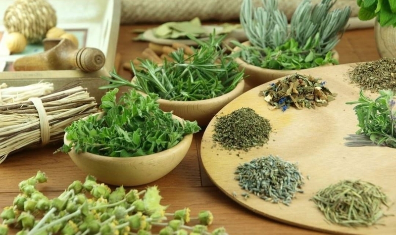 Phương pháp đắp lá chữa bướu cổ, nên hay không? 2