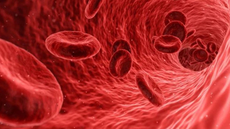 Phương pháp để khắc phục và giảm mỡ bắp chân cấp tốc 2