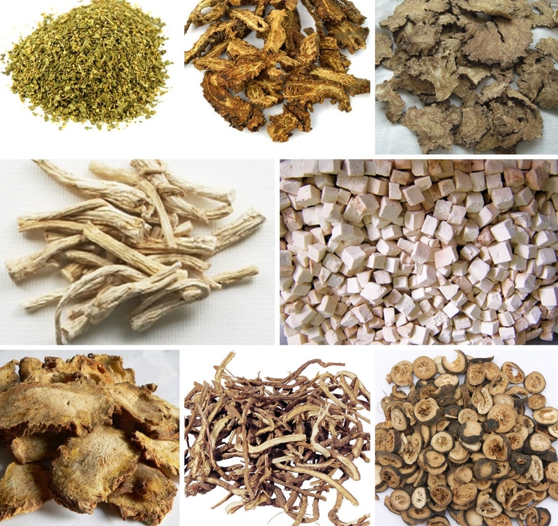 Phương pháp điều trị bại não bằng đông y 2