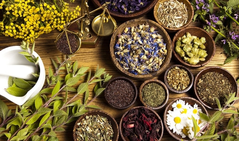 Phương pháp điều trị viêm gan C bằng thuốc nam 4