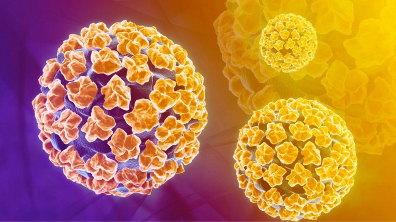 Phương pháp liqui prep trong xét nghiệm tế bào học 1