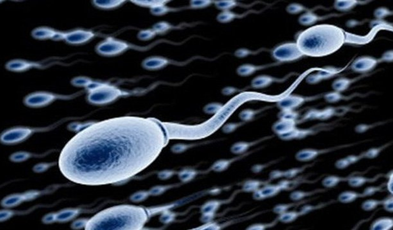 Tiêm tinh trùng vào bào tương trứng (ICSI)