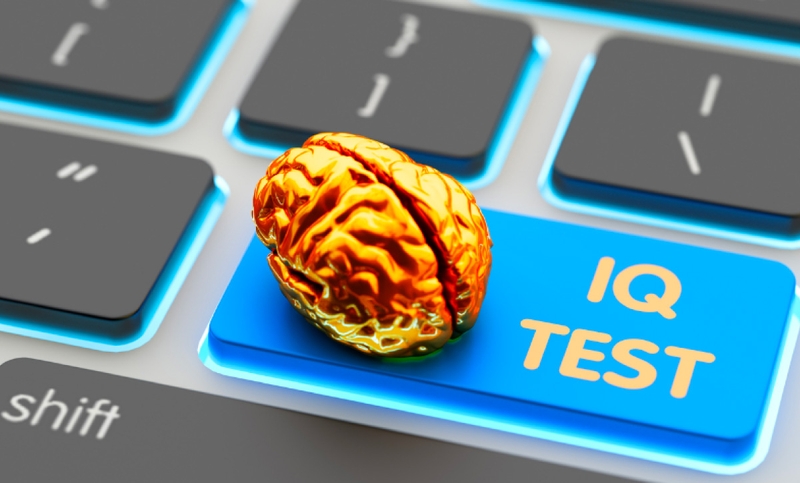 Phương pháp test IQ cho trẻ 13 tuổi-2
