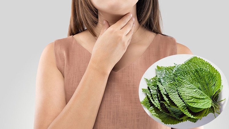 Phương pháp trị ho mãn tính hiệu quả và an toàn 3