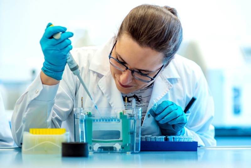 Phương pháp Western blot là gì? Ứng dụng trong y khoa và sinh học 3