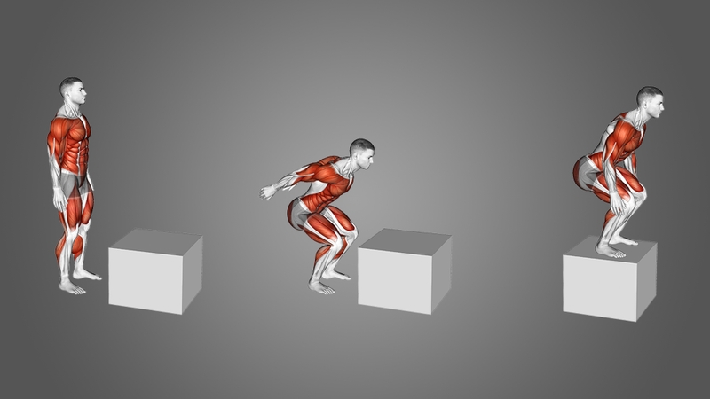 plyometrics-la-gi-tac-dung-cua-cac-bai-tap-plyometrics 4