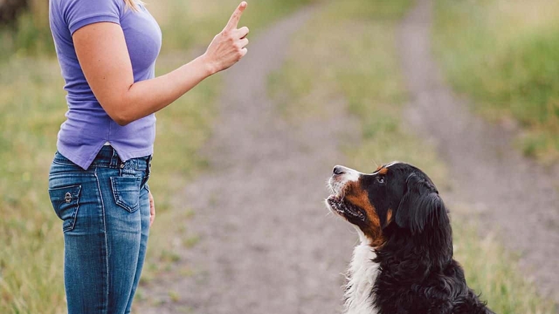 Positive Reinforcement (Củng tố tích cực) và những điều cần biết 4