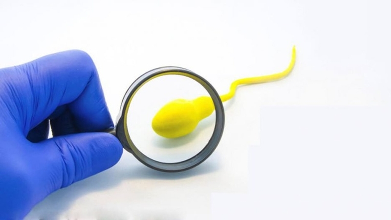 Precum là gì? Hiểu rõ về chất dịch tiền xuất tinh trong quan hệ tình dục 3