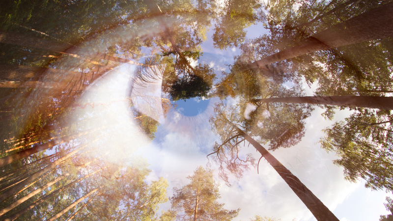 prk-la-gi-ung-dung-prk-trong-phau-thuat-tat-khuc-xa-mat 4