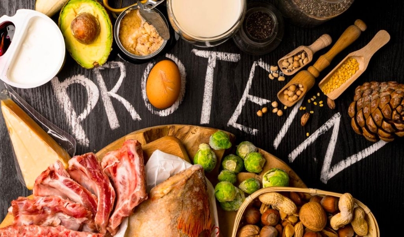 Protein có phải là đạm không? Cách bổ sung protein cho cơ thể 2