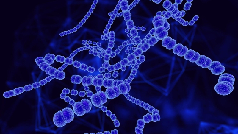 Cấu trúc không gian của protein hình cầu được giữ bằng nhiều tương tác khác nhau