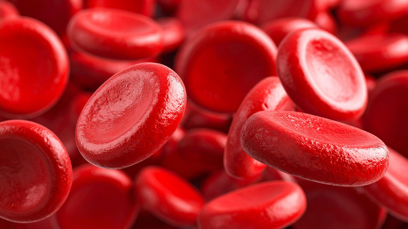 Hemoglobin hay huyết sắc tố, là một dạng protein hình cầu