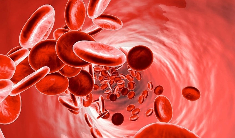 Protein toàn phần là gì? Những điều cần biết về xét nghiệm protein toàn phần 1