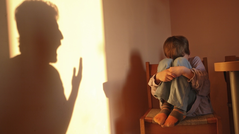 Psychopath: Hội chứng rối loạn nhân cách phản xã hội khó phát hiện 3