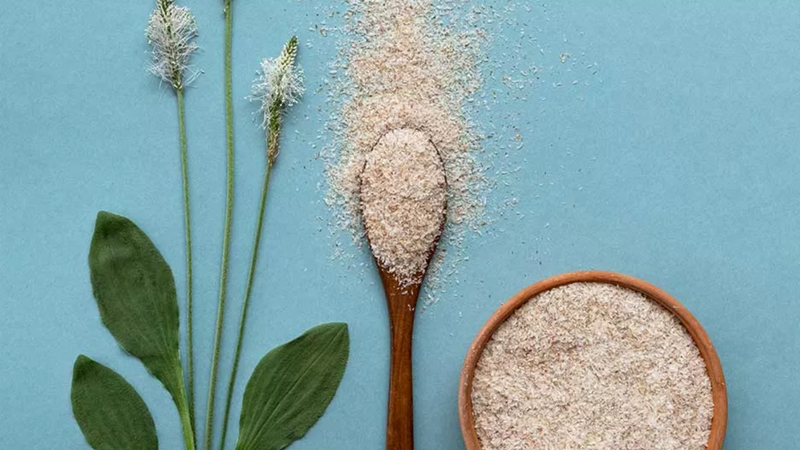 Psyllium husk là gì? Công dụng và cách dùng 1
