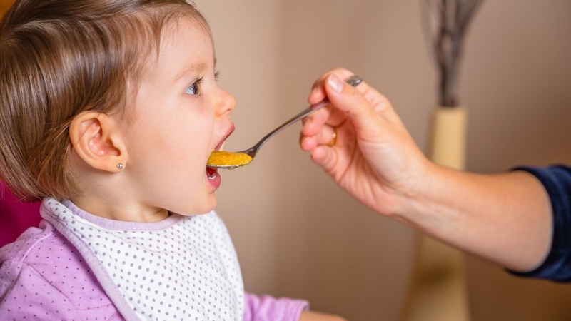 Puree là gì? Ứng dụng và cách sử dụng puree an toàn, hiệu quả 2