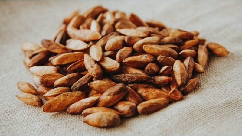 Quả bàng và những lợi ích sức khỏe ít ai ngờ đến 1