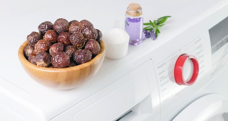 Quả bồ hòn có ăn được không? Một số lưu ý khi sử dụng quả bồ hòn 3