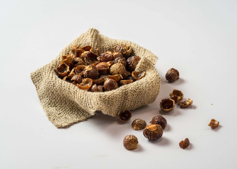 Quả bồ hòn có ăn được không? Một số lưu ý khi sử dụng quả bồ hòn 5