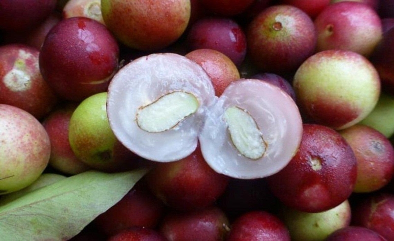 Quả camu camu là gì, có tốt cho sức khỏe không 2