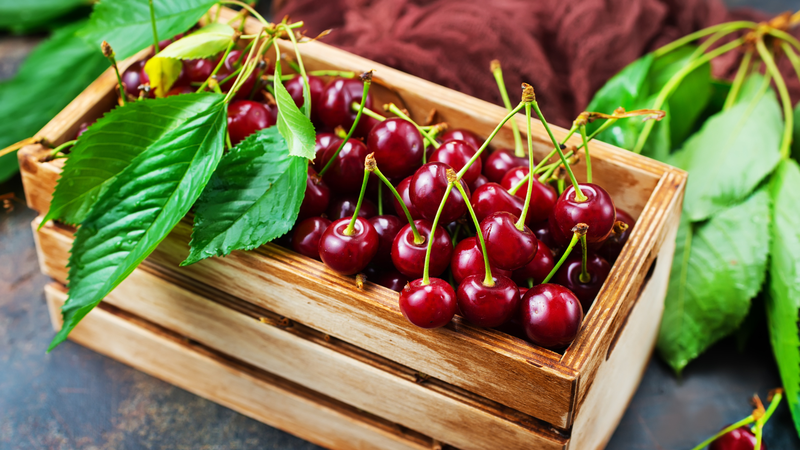 Quả cherry để được bao lâu? Cách bảo quản cherry được lâu hơn 3