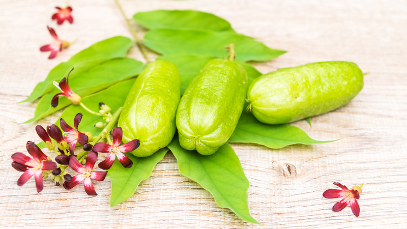 Quả chua nhất thế giới có hình dáng thuôn dài và màu xanh tươi