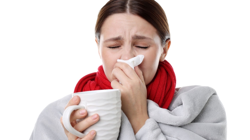 Giàu vitamin C và flavonoid chống oxy hóa, dâu tằm hỗ trợ tăng đề kháng và bảo vệ hô hấp nhẹ