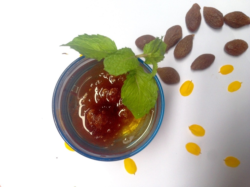 Sử dụng quả đười ươi chữa gai cột sống hiệu quả bất ngờ 2