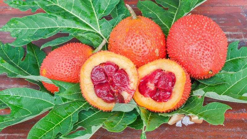 Hướng dẫn cách sử dụng dầu gấc cho bé ăn dặm an toàn, hiệu quả 4