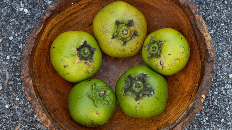 Quả hồng socola có tác dụng gì với sức khỏe 4