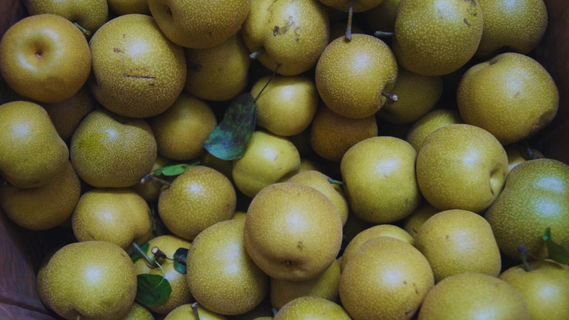 Quả mắc cọp chứa hàm lượng vitamin C dồi dào