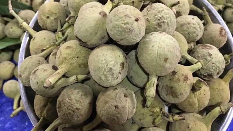 Quả mắc ten là thực phẩm tự nhiên giàu dinh dưỡng, đặc biệt là vitamin và chất chống oxy hóa