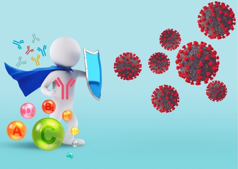 Quả móc mật: Đặc sản núi rừng và vị thuốc quý cho sức khỏe 2