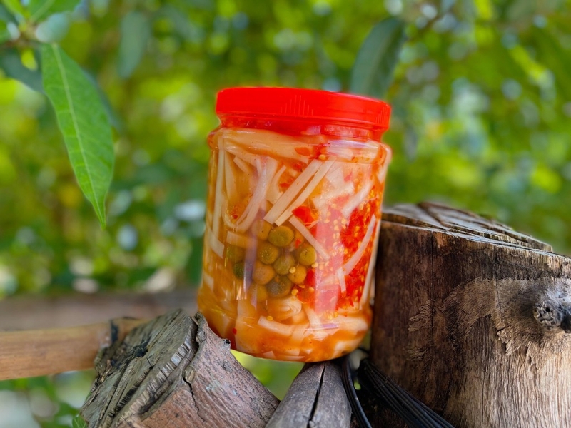 Quả móc mật: Đặc sản núi rừng và vị thuốc quý cho sức khỏe 4