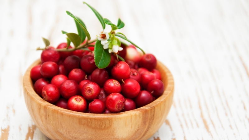 Nam việt quất là loại quả mọng có kích thước nhỏ, hình tròn và màu đỏ nổi bật khi chín