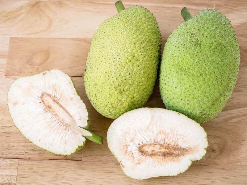 Quả sake giàu chất xơ rất tốt cho hệ tiêu hóa