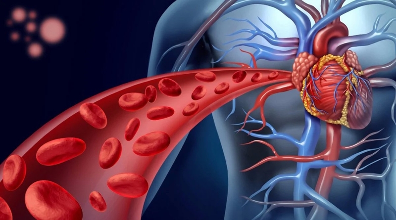 Quá tải tuần hoàn liên quan truyền máu những thông tin cần biết - 1