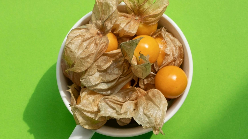 Quả thù lù có thể dùng tươi hoặc chế biến thành nhiều món như mứt, salad, bánh kem